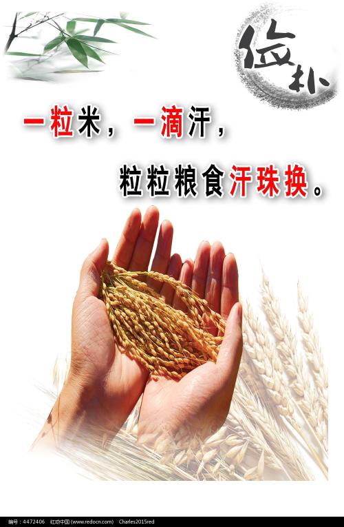 日本园田学园女子大学硕士毕业证